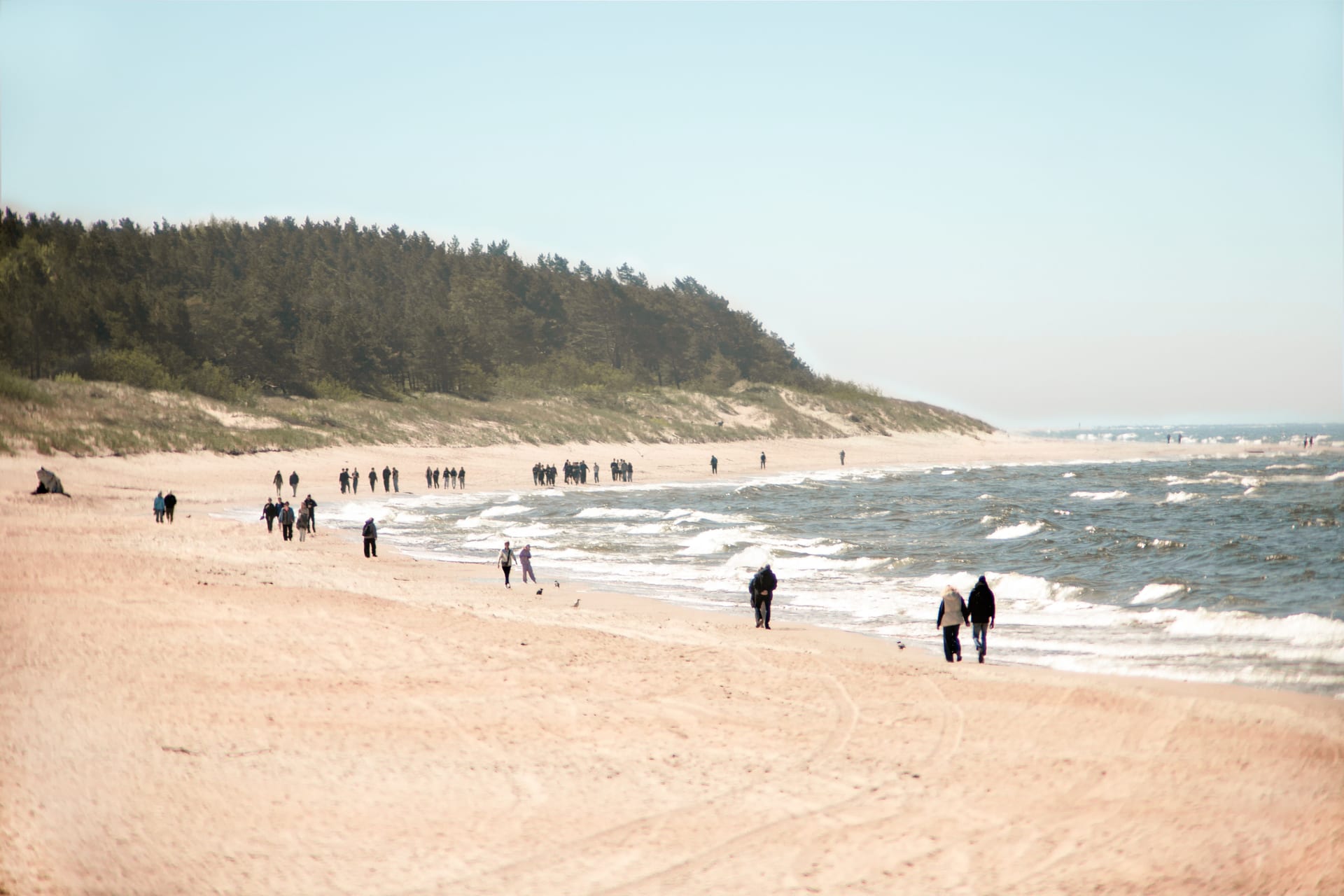 People walking along the serene Palanga Beach in Lithuania with gentle waves and a forest backdrop.