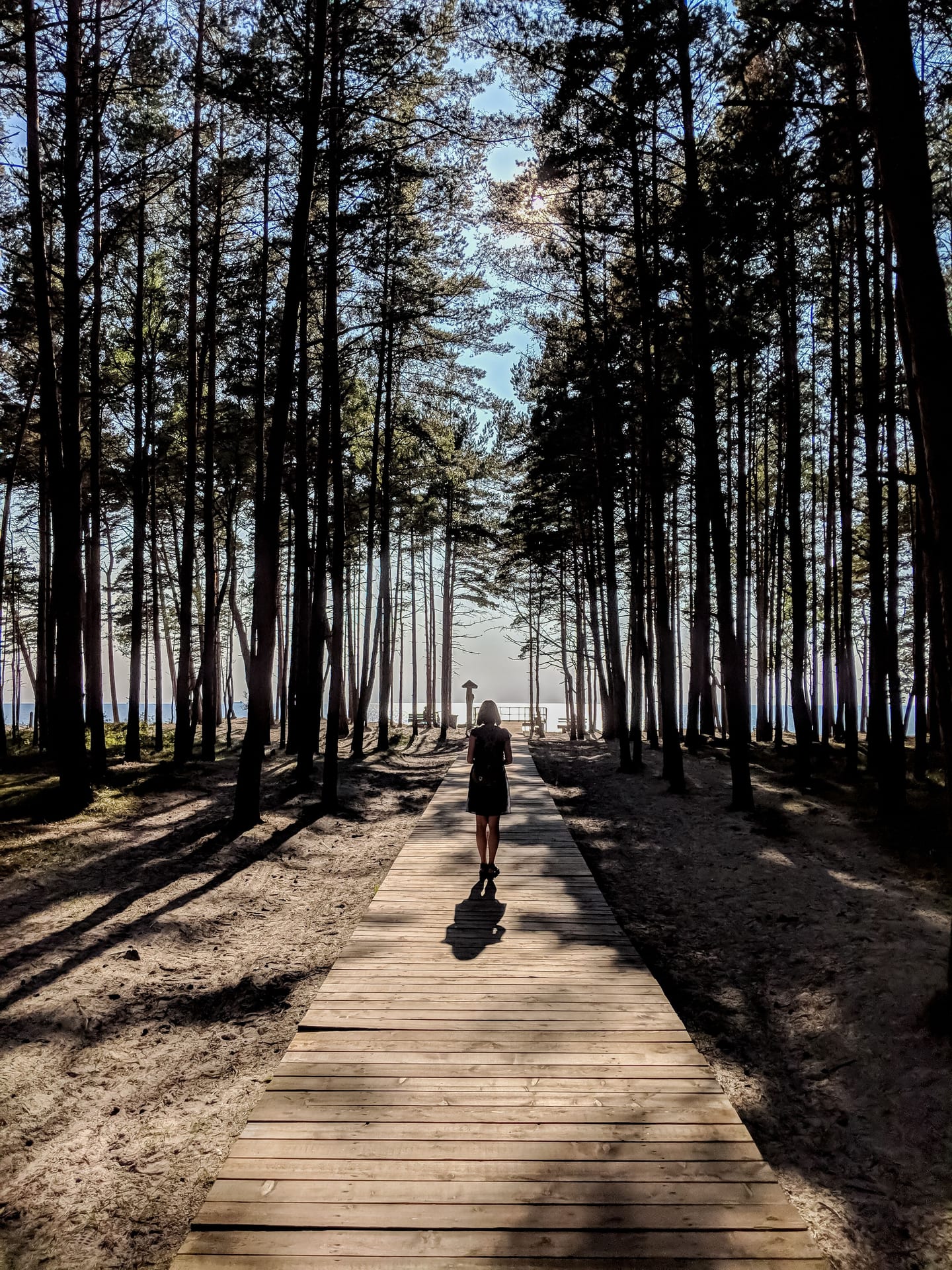A serene path through a forest in Karklė, Lithuania leads to the sea under a clear sky.