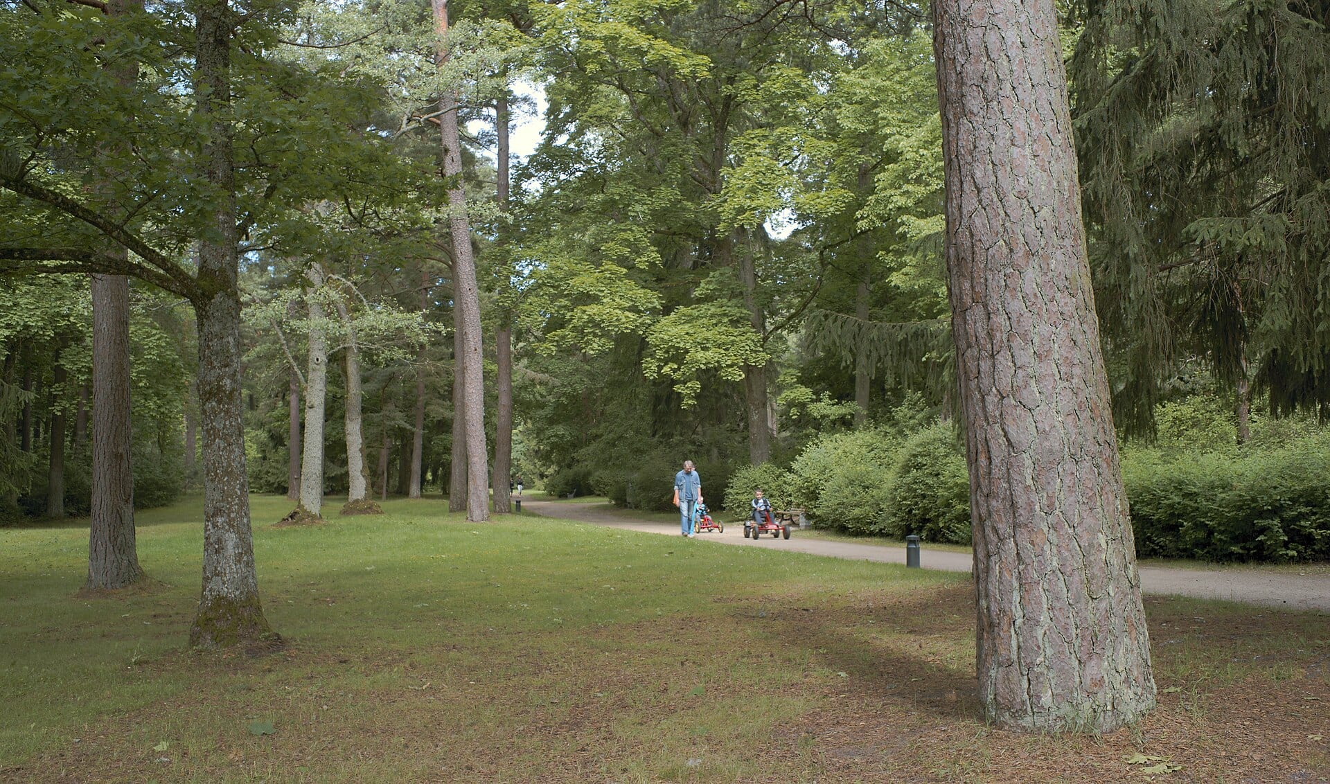 20 palanga Birutė Park (29686217986)