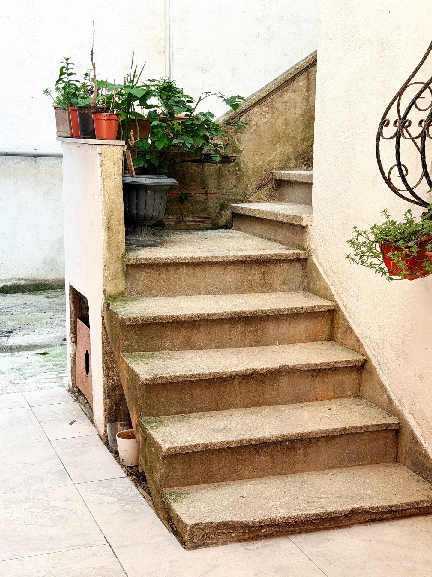 Charming outdoor staircase with potted plants adding a rustic touch to the scene.